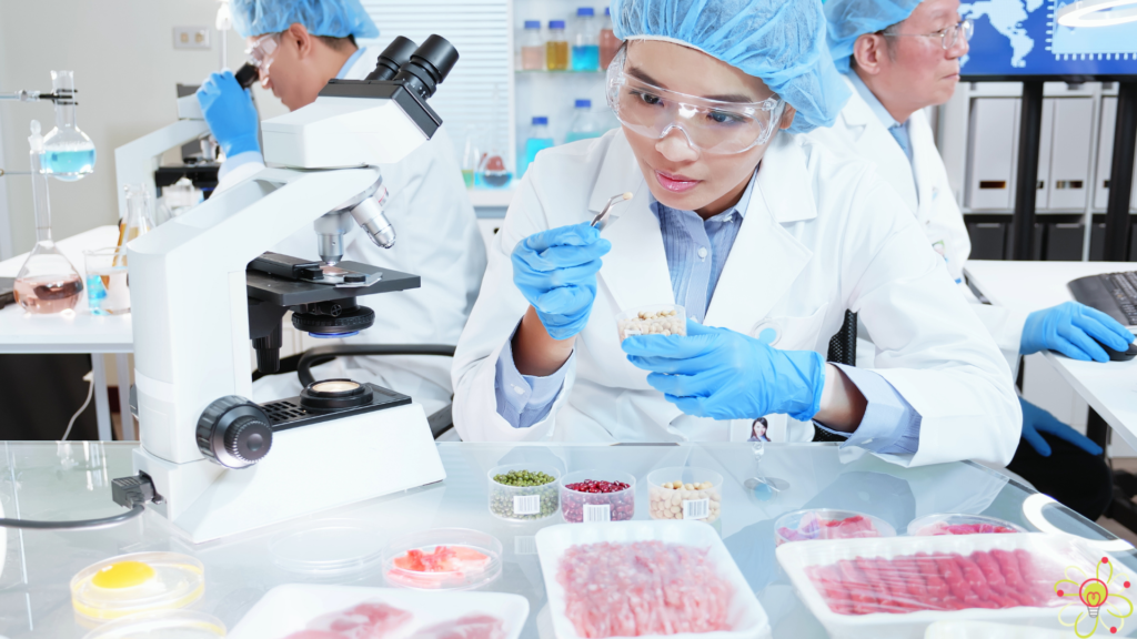 Desenvolvimento de produtos alimentícios